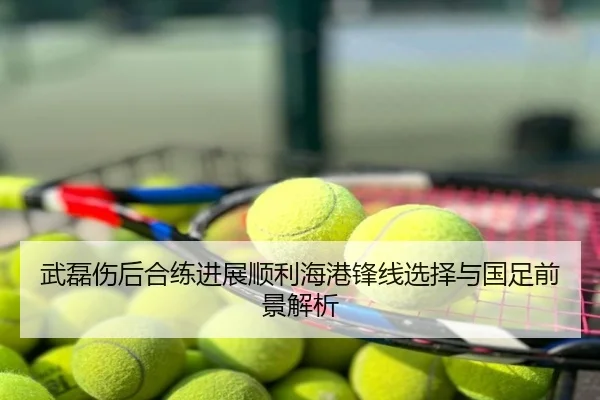 武磊伤后合练进展顺利海港锋线选择与国足前景解析