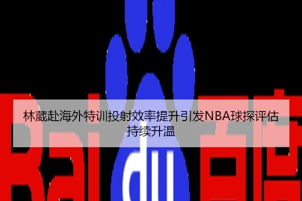 林葳赴海外特训投射效率提升引发NBA球探评估持续升温