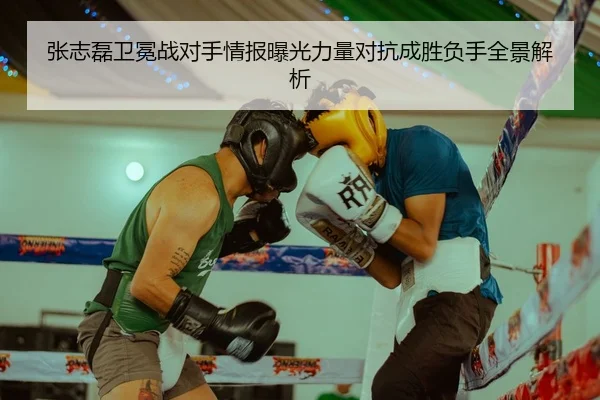 张志磊卫冕战对手情报曝光力量对抗成胜负手全景解析